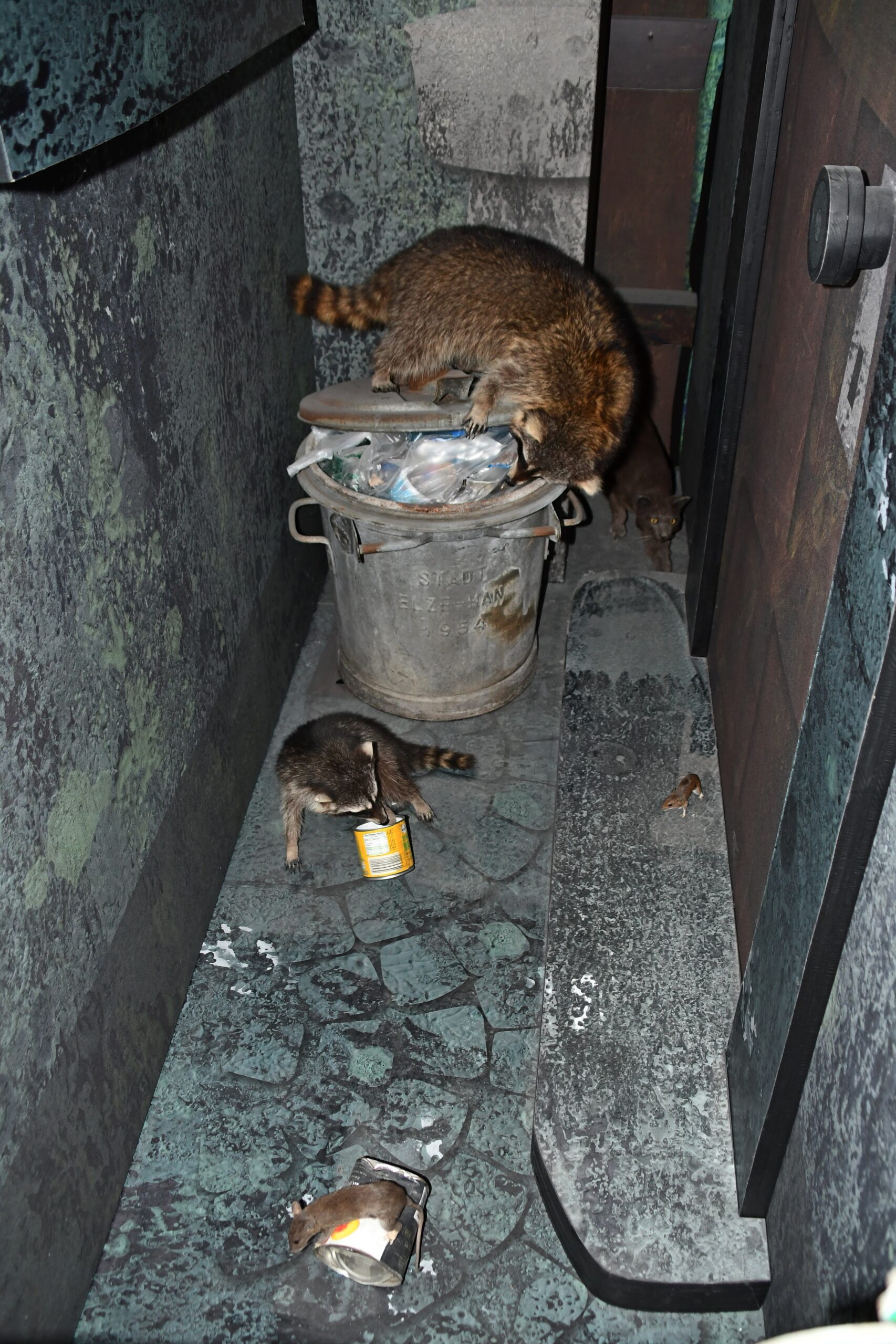 Blick in die Konstanzer Gasse im Bodensee Naturmuseum