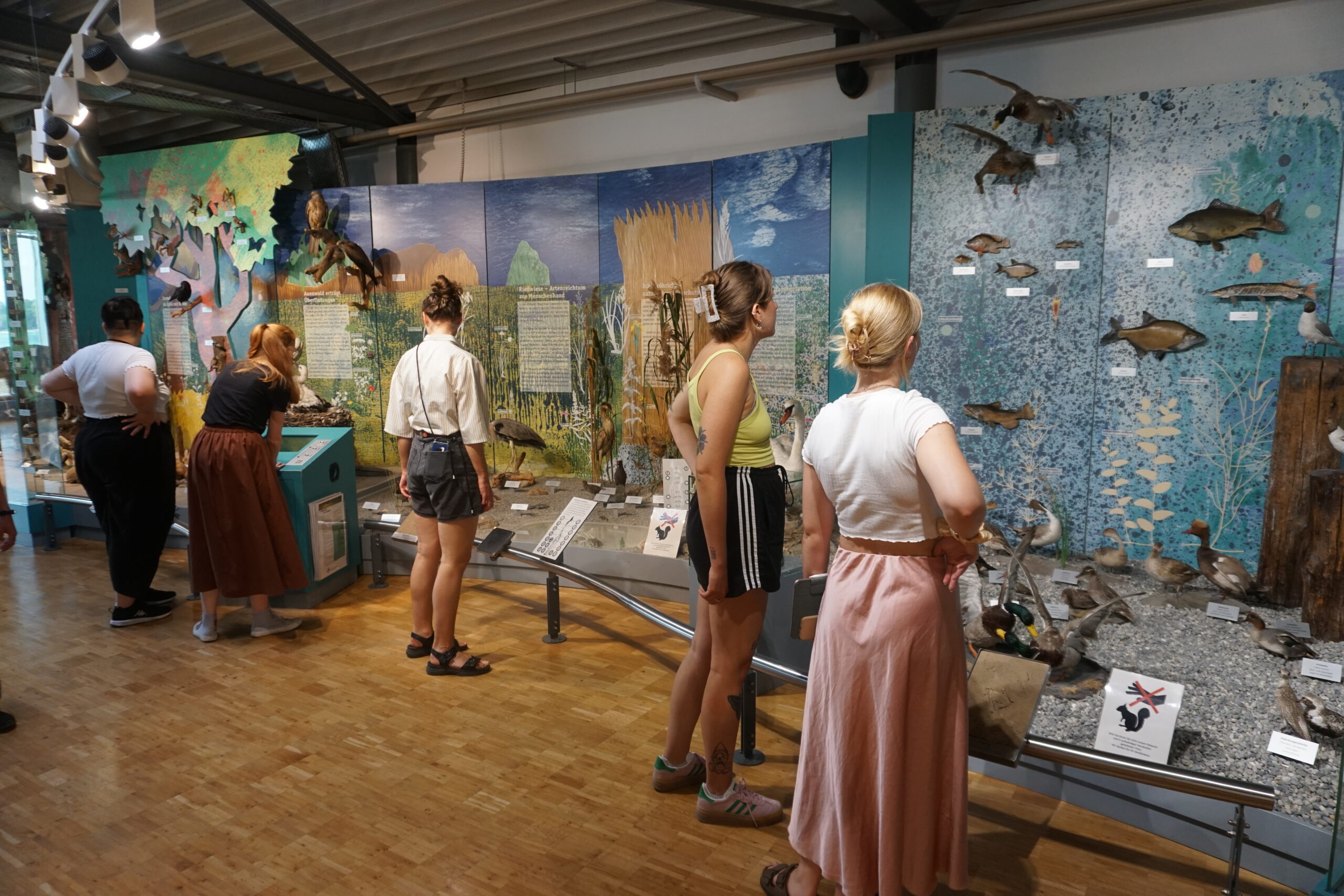 Seminarbesuch im Bodensee Naturmuseum