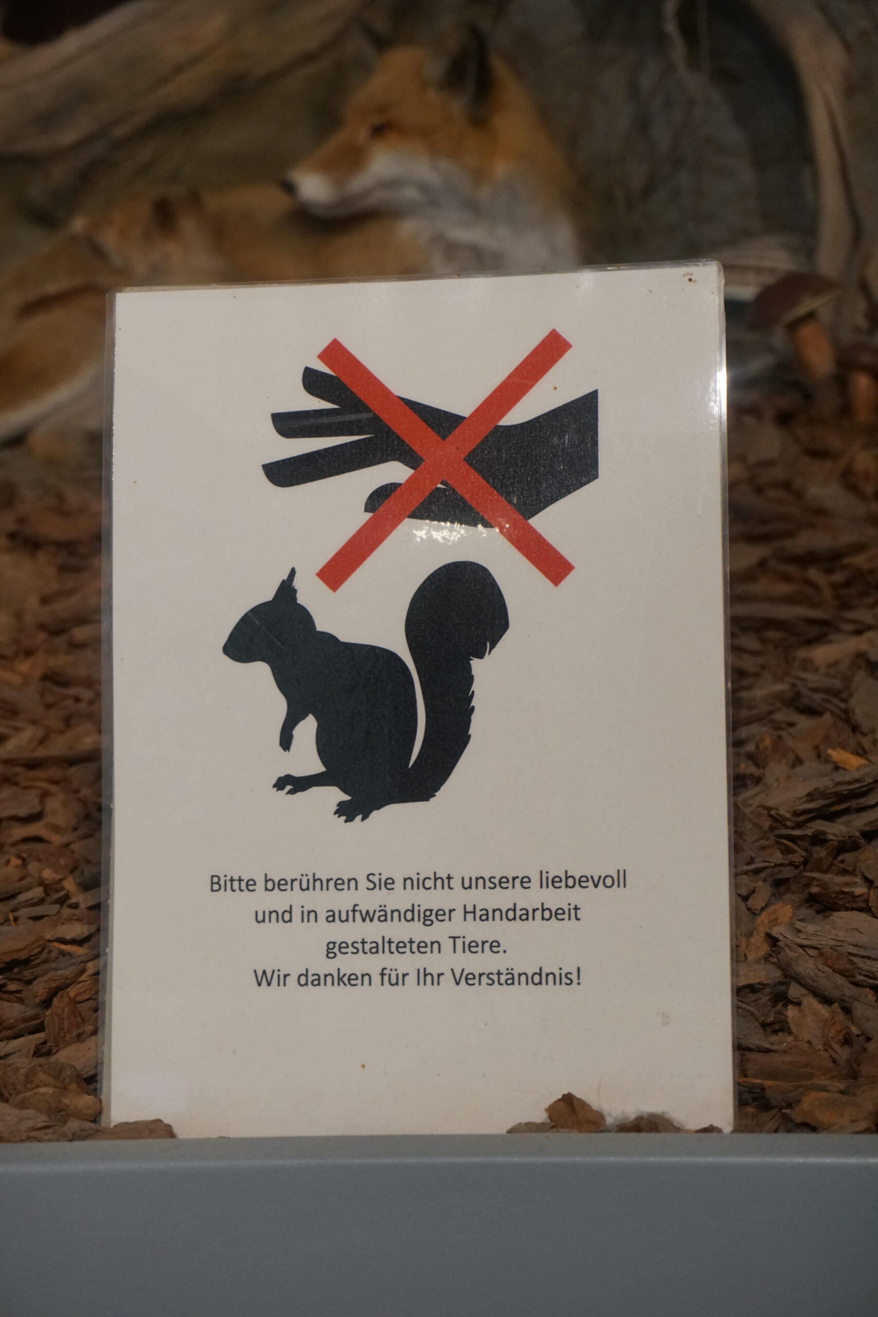 Bodensee Naturmuseum