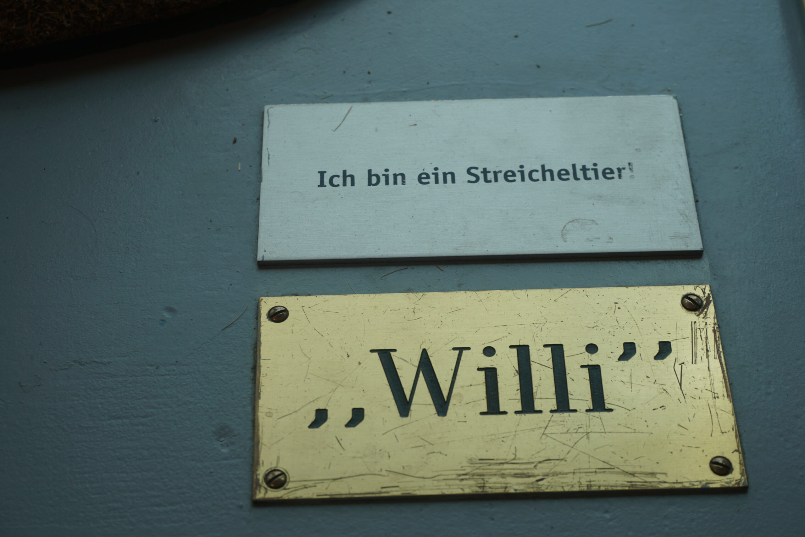 Bodensee Naturmuseum