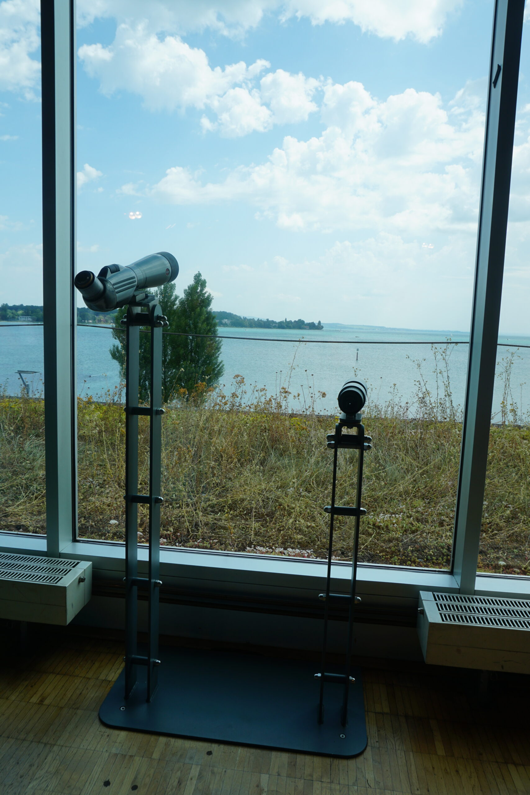 Bodensee Naturmuseum