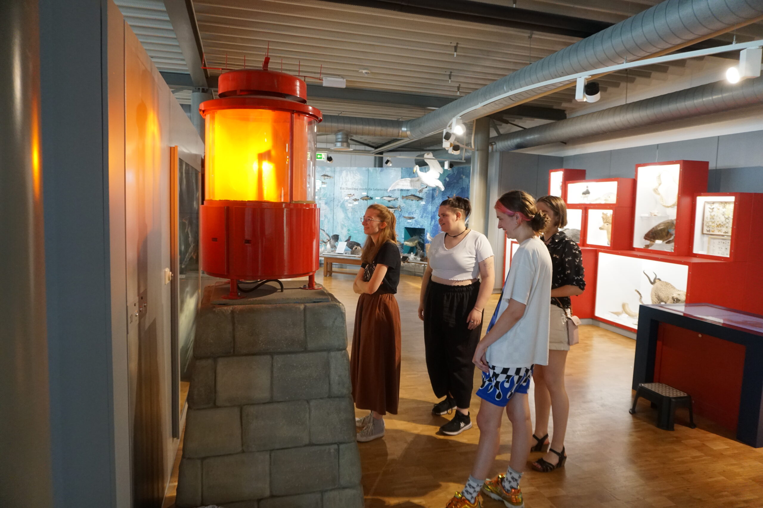 Seminarbesuch im Naturmuseum