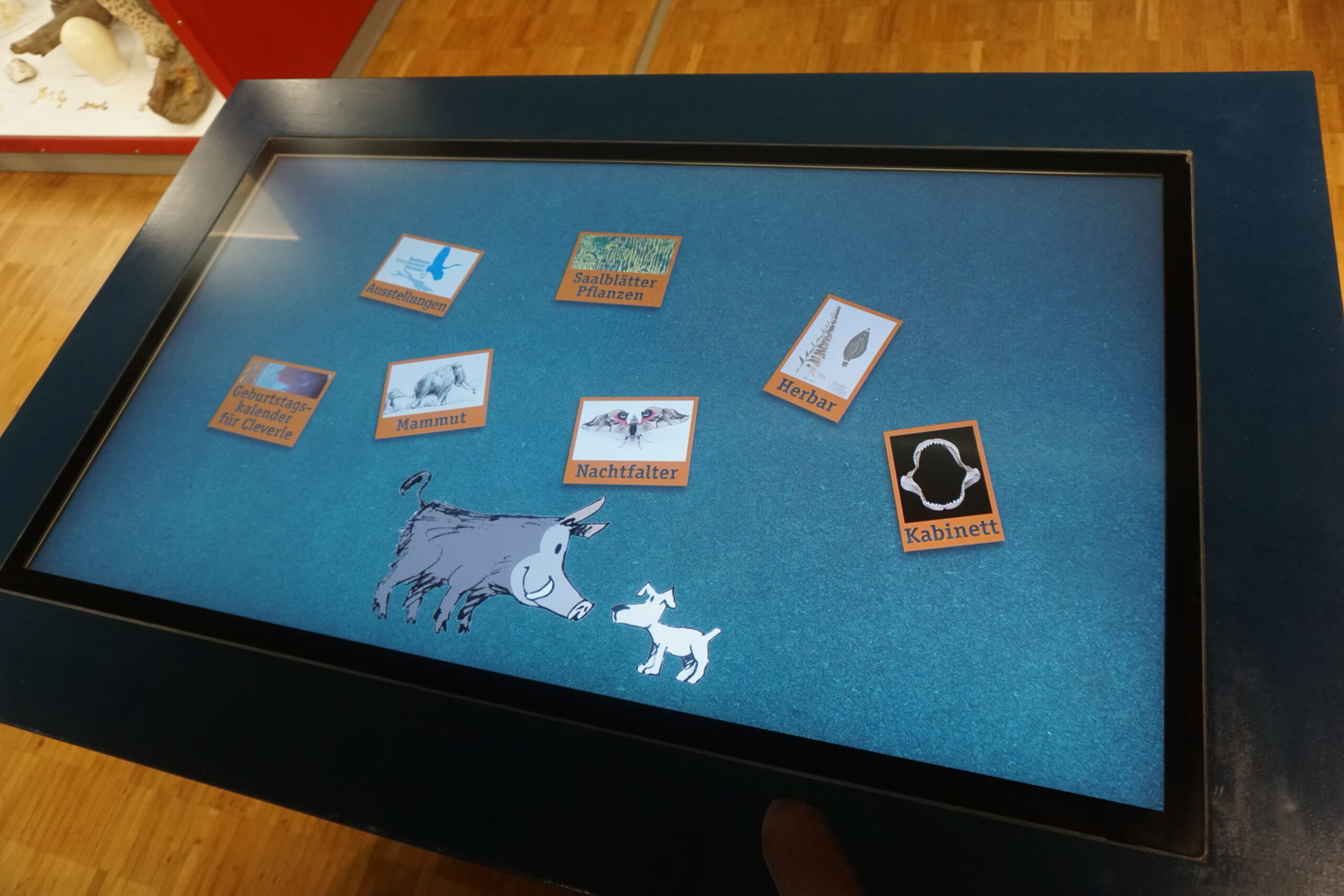 Bodensee Naturmuseum