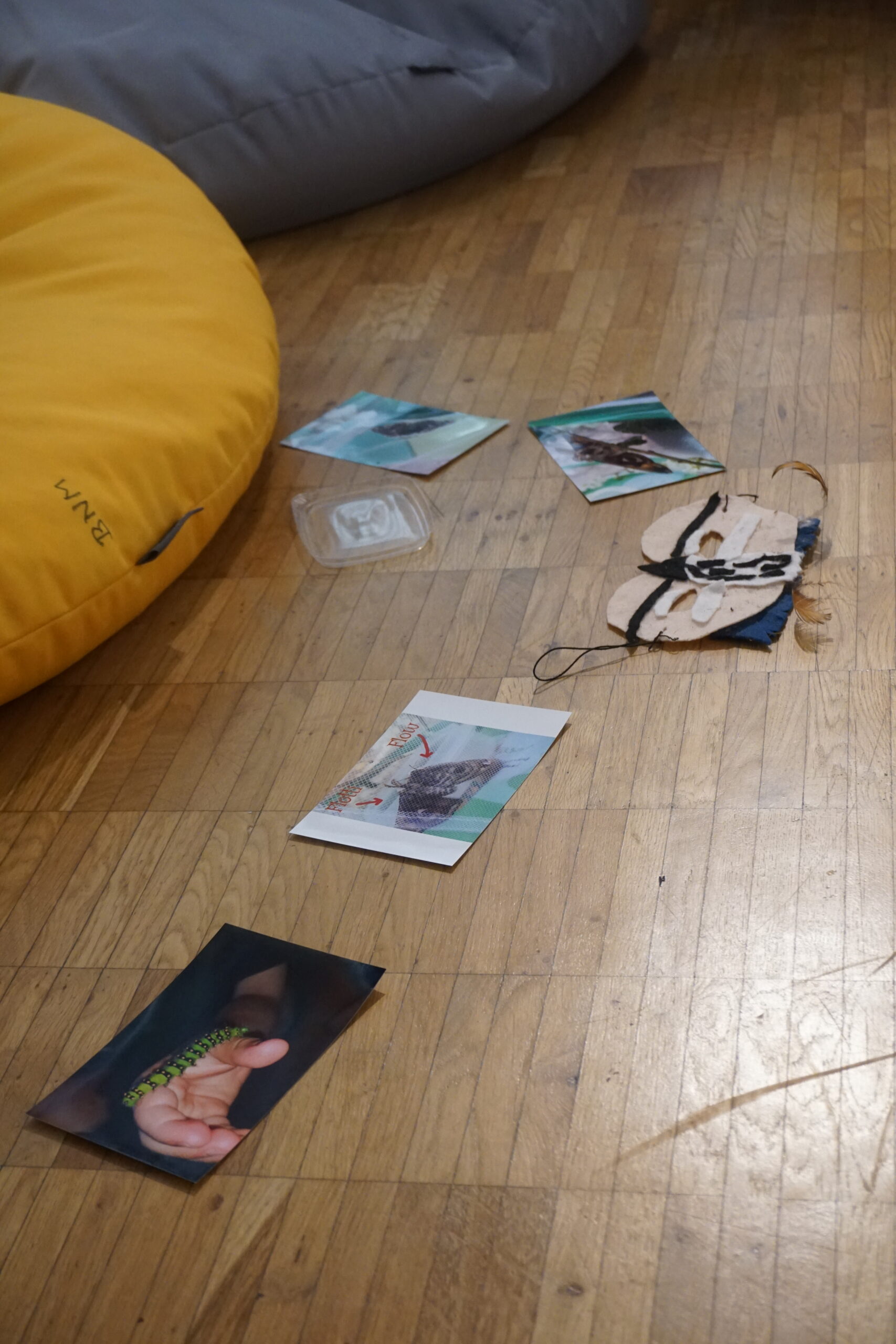 Seminarbesuch im Bodensee Naturmuseum