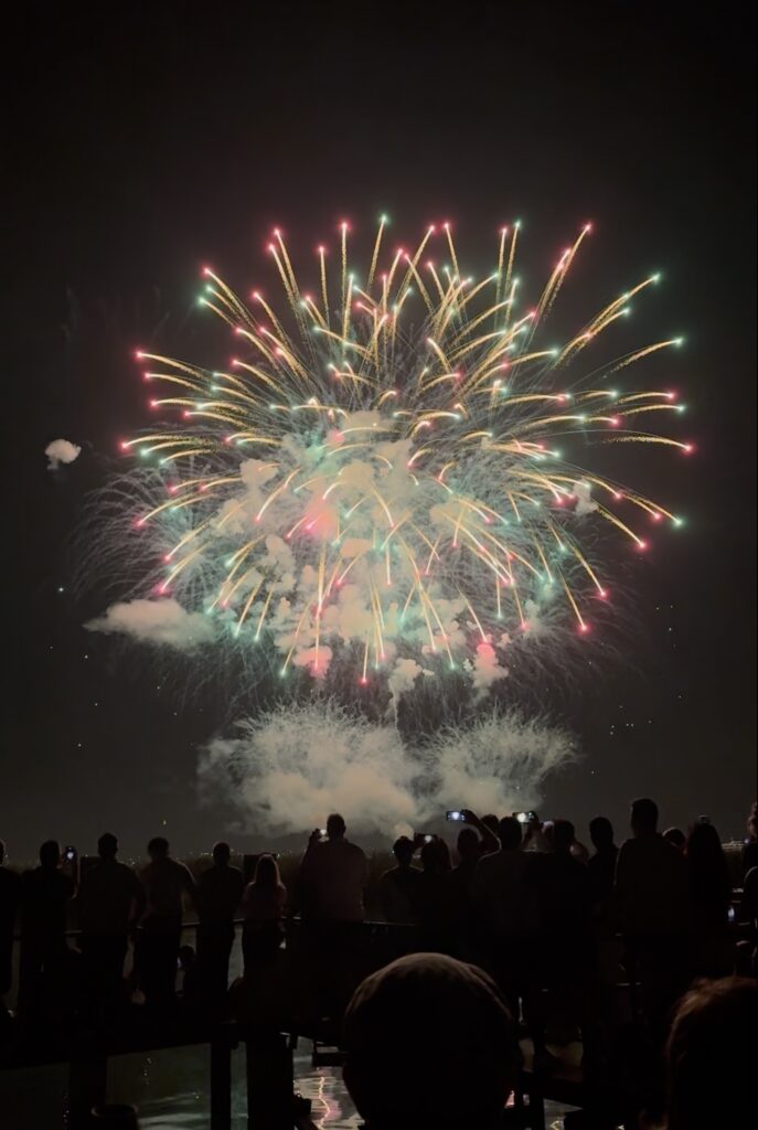 Ein buntes Feuerwerk über dem Bodensee.