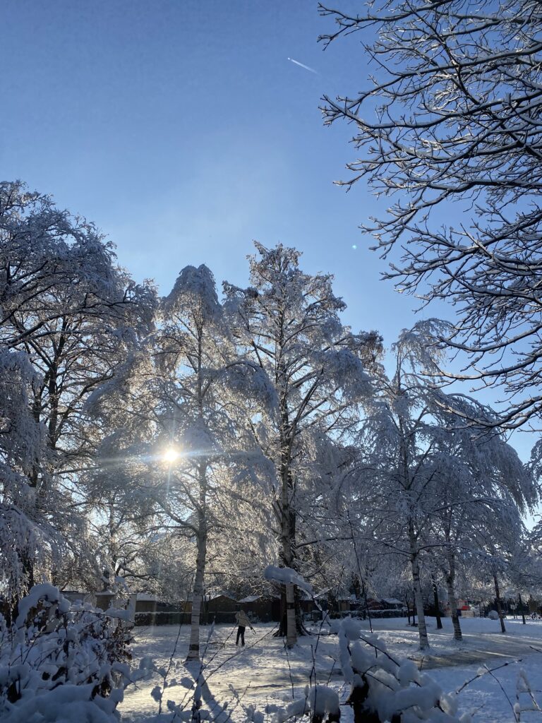 Ein kleiner Ausschnitt aus dem Stadtgarten Konstanz im Winterzauber. Der Boden, die Baumäste sowie die Hütten des Weihnachtsmarktes sind von Schnee bedeckt. Die Sonne scheint durch die von Schnee bedeckten Äste hindurch und reflektiert auf den weißen Boden.