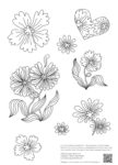 Illustration von Blumen, Linienarbeit schwarz auf weiß