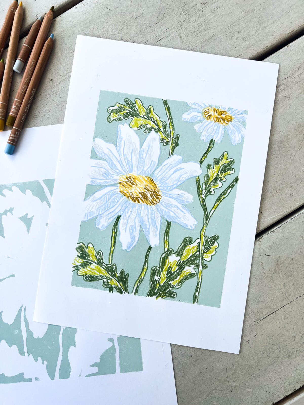 Postkartenprints von Margeriten-Illustrationen