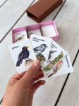 Karten mit Vogelillustrationen